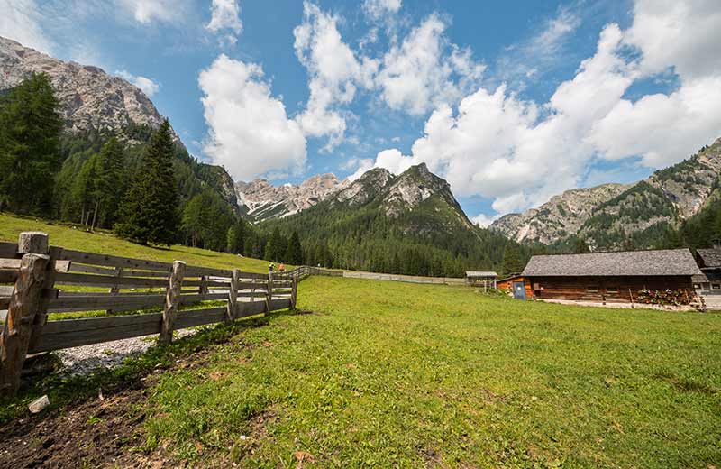 Escursione alla Malga Foresta